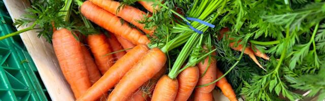 The E. Coli Carrot Outbreak Has Gotten Bigger