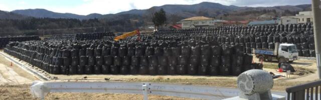 Japan Puts Fukushima Soil in Prime Minister’s Flower Beds to Show It’s Safe