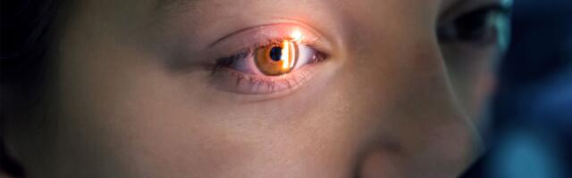 Scientists claim you can't see the difference between 1440p and 8K at 10 feet in new study on the limits of the human eye — would still be an improvement on the previously-touted upper limit of 60 pixels per degree Scientists claim you can't see the difference between 1440p and 8K at 10 feet in new study on the limits of the human eye — would still be an improvement on the previously-touted upper limit of 60 pixels per degree