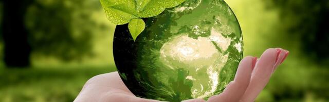 Many companies want to do more on sustainability - but just don't have the support or budget to do so