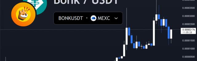 Bonk Coin Price Up 40%, Is Slothana The Next Solana Meme Token To Explode