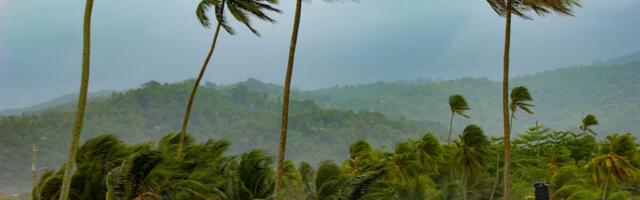Watch These Live Webcam Views of Jamaica as Hurricane Melissa Makes Landfall Watch These Live Webcam Views of Jamaica as Hurricane Melissa Makes Landfall