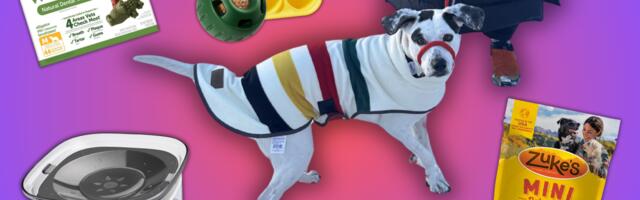 As a first-time dog owner, these are my essentials to shop during Amazon Pet Week