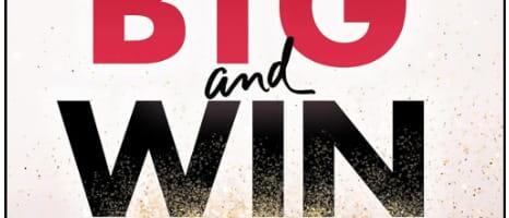 Dream big and win by Liz Elting, reviewed