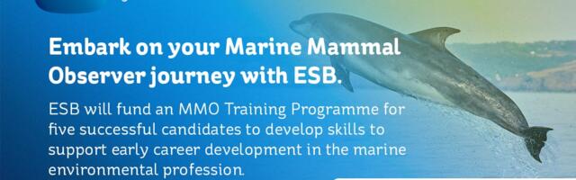 ESB announces funding for Marine Mammal Observer Training Programme