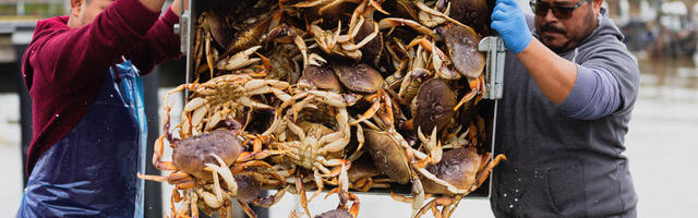 Weiss: Holiday dining and our changing seas; examining the future of Wes Coast seafood