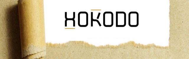 Behind the Idea: Hokodo