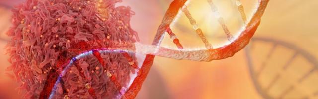 London-based biotech Leucid Bio raises £11.5M funding for hard-to-treat cancers
