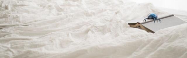 Helsinki startup raises €4M for smart bed legs to outsmart bed bugs