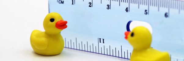 Walking Duck is a digital news startup trying to find middle ground in U.S. politics