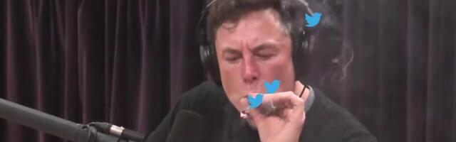 Elon Musk wasn’t actually asking for your opinion on his $5B Tesla stock sale