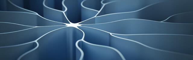 Neural networks don’t work like the human brain because they ‘learn’ differently