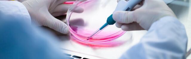 London-listed biotech raises £15m for engineered animal tissue projects