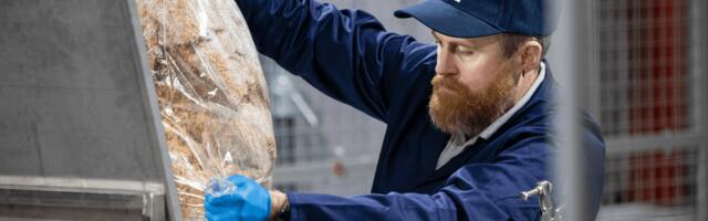 Magical Mushroom Company cultivates £3 million to create biodegradable packaging