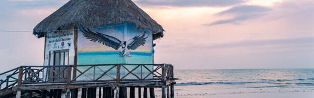 My experience on 'Survivor' made me want to live among nature. So I moved to Mexico.