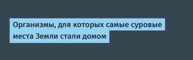 [Перевод] Организмы, для которых самые суровые места Земли стали домом