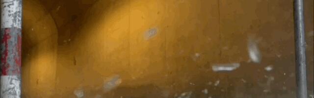 The wild quadruped robot scrambles down hills, through glass, and you can stand on it