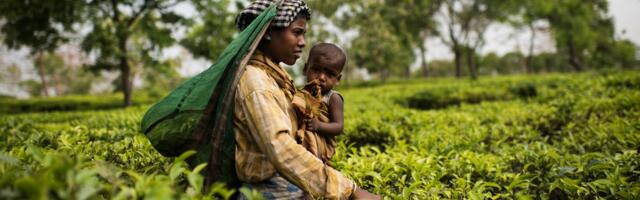 The health risks from climate change that almost no one talks about