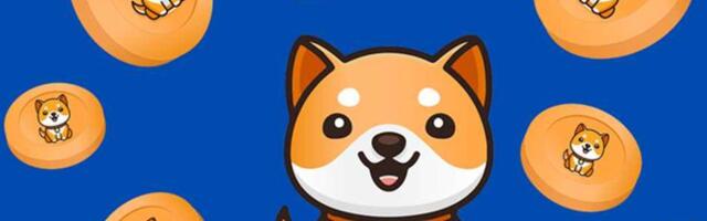 Shiba Inu lost 86% of its value in one year. Is it time for long-term investors to build a Shiba Inu position?