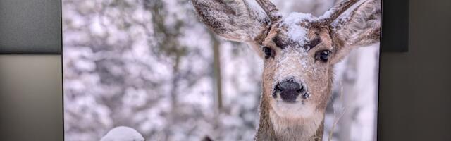 Prices for the LG G6 and LG C6 OLED TVs have appeared on Amazon — and boy, have I got good news for you