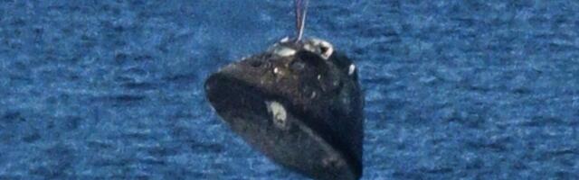 NASA Sets the Record Straight on That ‘Missing Chunk’ of Artemis 2’s Heat Shield