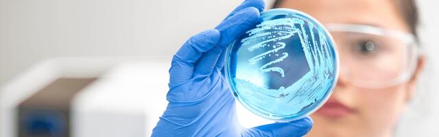 iFAST Diagnostics bags £5M to speed up infection testing and tackle antimicrobial resistance