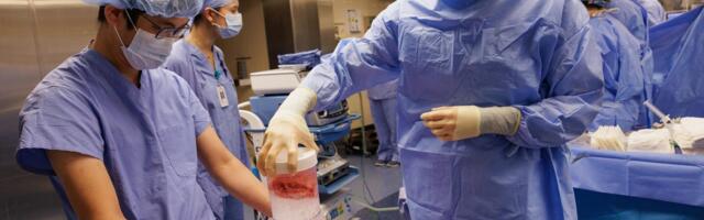 Animal-to-Human Organ Transplants: How They Work