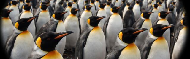 Гайд по быстрому мониторингу Linux-хостов в Grafana без Zabbix