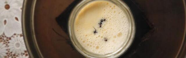 Scientists Team Up With Michelin Chefs to Recreate Ancient Yogurt—With Ants