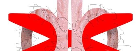 Я сжёг 2 года на стартап знакомств. Вот почему “красивые идеи свиданий” никому не нужны и что я вынес из этого опыта