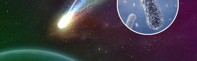 Происхождение жизни — а там ли мы вообще ищем?