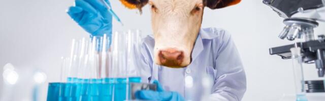 US approval for cultivated meat ‘provides a framework’ for Europe to follow