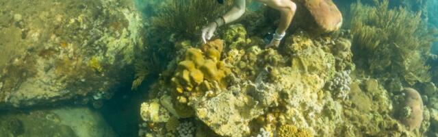 It’s even hot underwater