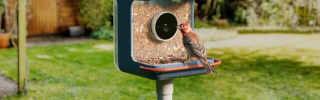 Birdbuddy’s new smart feeders aim to make spotting birds easier, even for beginners