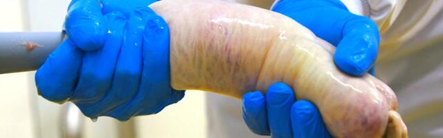 How luxury saucisson is made in the French Basque Country