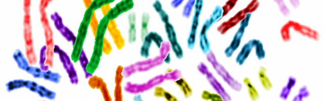 After 20 years, the human genome is (almost) complete — here’s what’s left to do