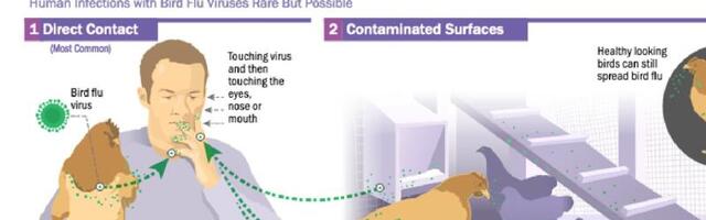 CDC Confirms First ‘Severe’ Case of H5N1 Bird Flu in U.S.