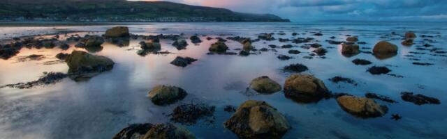 Údarás na Gaeltachta renews bursary to support sustainable development in Gaeltacht regions