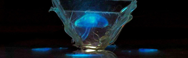 Quantum physics has the answer to making better holograms