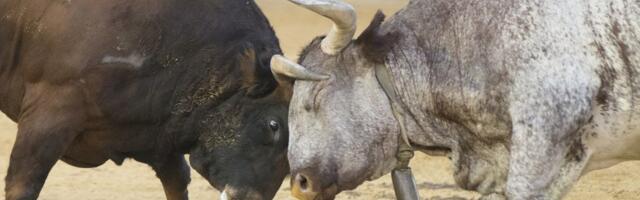 Bullish Drivers Remain In Play Despite Germany's Bitcoin Sales and Mt. Gox Reimbursements