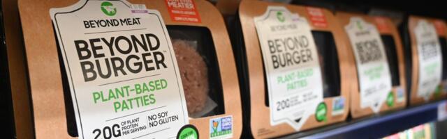Lab-grown meat does not a burger make, EU lawmakers insist