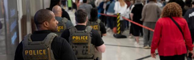 Photos show ICE agents at US airports as TSA staffing shortages disrupt air travel