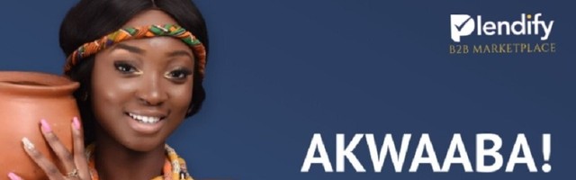 Ghanaian startup Plendify launches B2B e-commerce marketplace