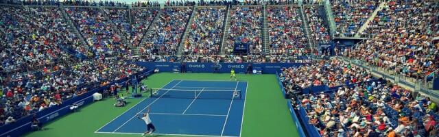 Sport & Business, the Similarities