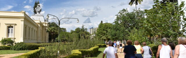 Tripadvisor Restructures to Address Its Lagging Core Business