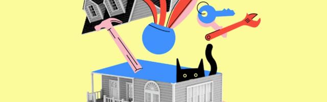 Aiming for cash-flow positive in 2024, Virtuo targets North American expansion with 2023 funding