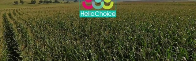 SA agri-fintech startup HelloChoice secures backing from Standard Bank