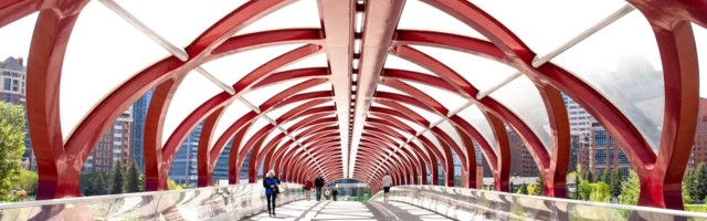 Alberta makes new tech investments as part of recently-unveiled $75 million strategy