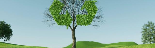 7 in 10 People Will Pay More for ‘Green’ Products