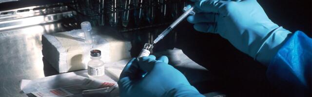 Biotech consortium led by  PDC*line Pharma raises €8.1M for cancer vaccine